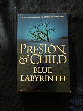 Blue Labyrinth by Preston & Child